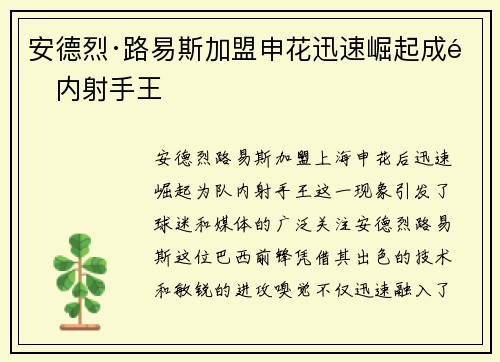 安德烈·路易斯加盟申花迅速崛起成队内射手王